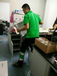 什么能除甲醛 武漢高效的花與葉環保專業室內治理哪里有