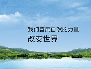 環(huán)保科技網(wǎng)站制作案例 沙漠風網(wǎng)站建設公司