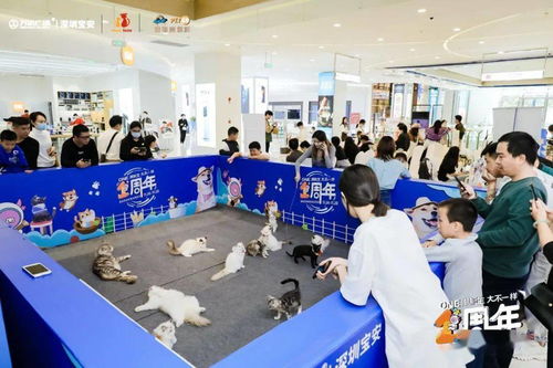 新沙天虹大型寵物活動(dòng)招募贊助商與集市攤位，2月12日-13日寶安沙井敬請(qǐng)期待